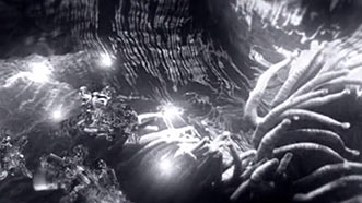 The Shell (AKA Copelia) - Director Nic Benns for Momoco Productions